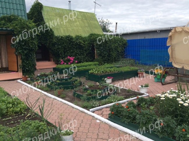 Клумба "Альпийская горка" в Красноярске Клумба "Альпийская горка" в Красноярске