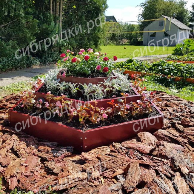 Клумба "Альпийская горка" в Красноярске Клумба "Альпийская горка" в Красноярске