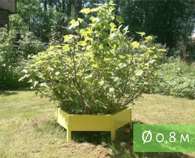 Клумба "Сота" 400 в Красноярске